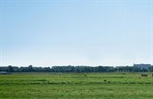 TG banner Warmte Congres_banner