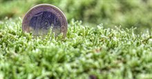 Money, euro, in the grass