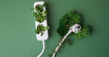 Groene energie
